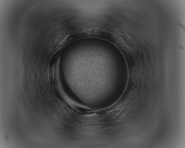 X0000092311298200709141345