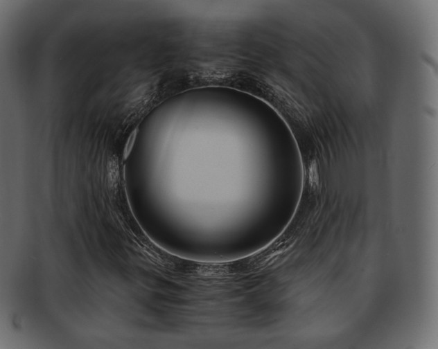 X0000092311299200709141345
