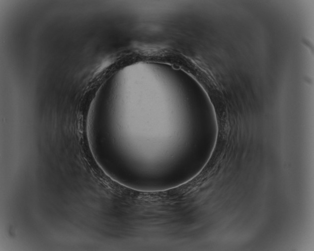 X0000092311301200709141345