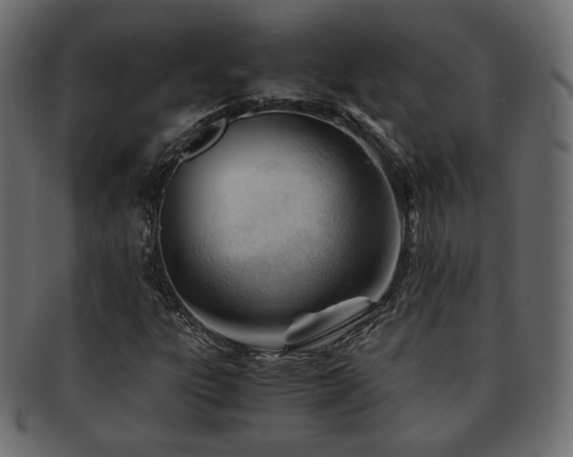 X0000092311303200709141345