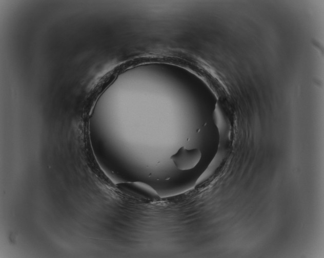 X0000092311304200709141345