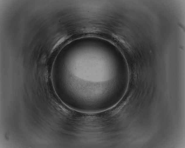 X0000092311306200709141345
