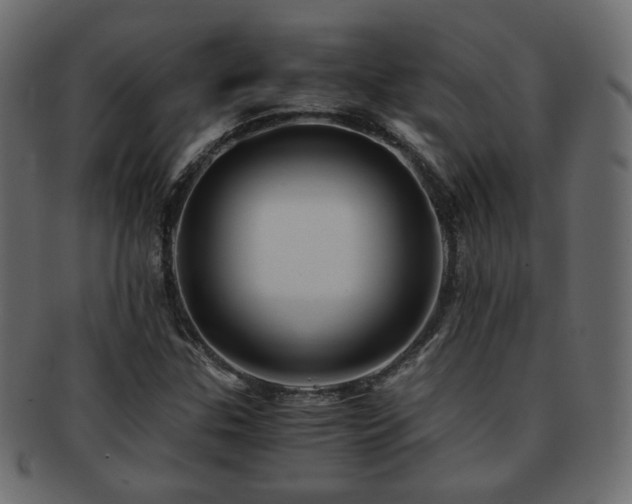 X0000092311307200709141345