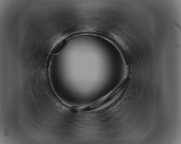 X0000092311308200709141345
