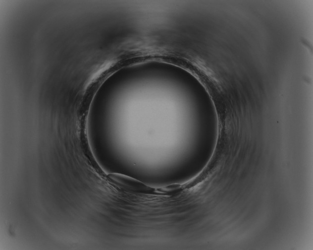 X0000092311309200709141345