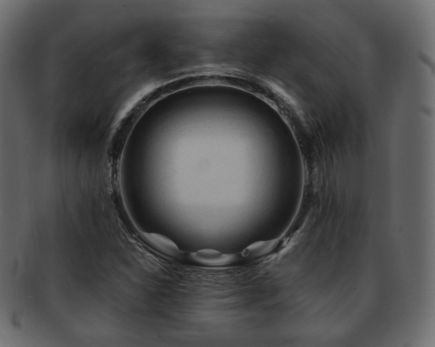 X0000092311310200709141345