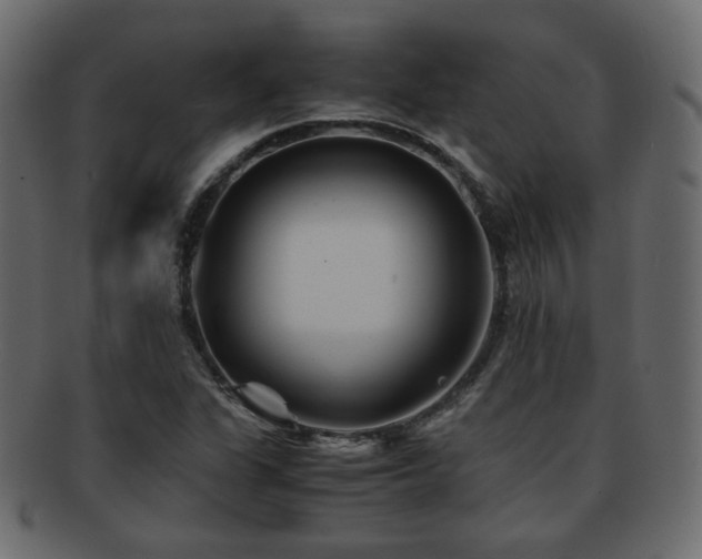 X0000092311311200709141345
