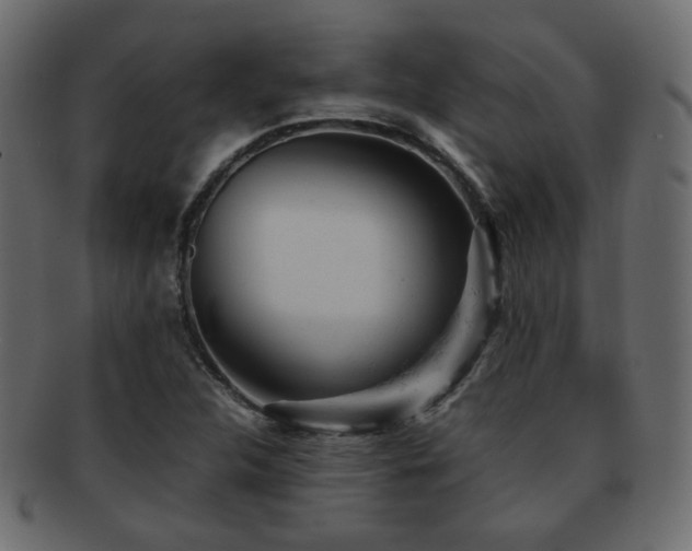 X0000092311312200709141345