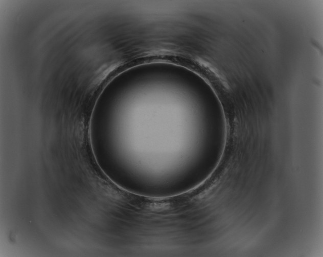 X0000092311313200709141345