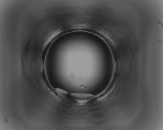 X0000092311317200709141345