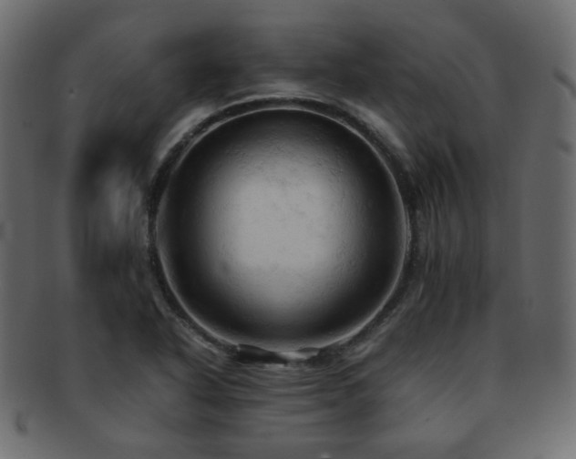 X0000092311318200709141345