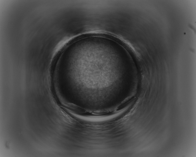 X0000092311319200709141345