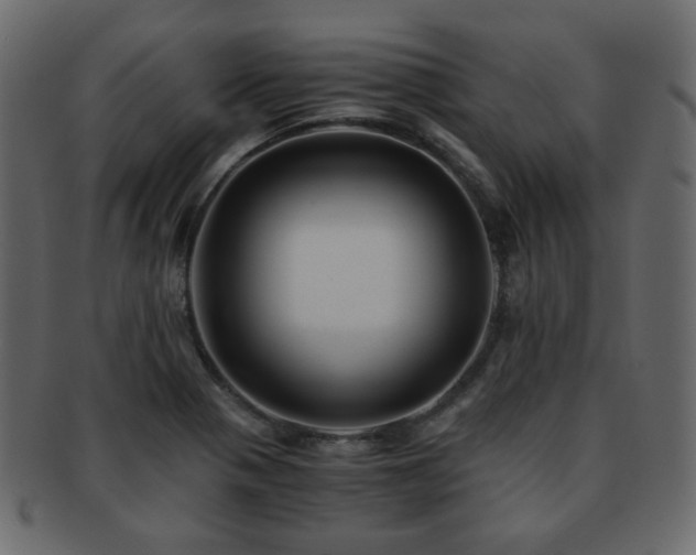 X0000092311321200709141345