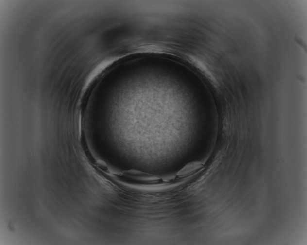 X0000092311323200709141345