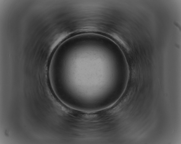 X0000092311325200709141345