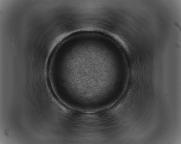 X0000092311327200709141345