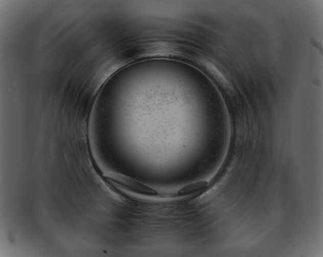 X0000092311329200709141345