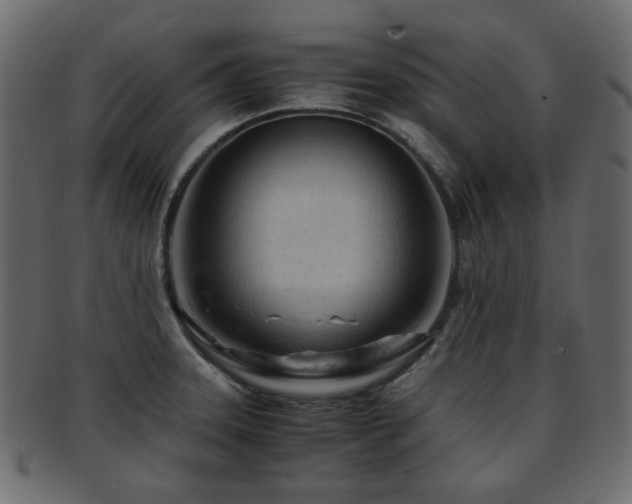 X0000092311331200709141345