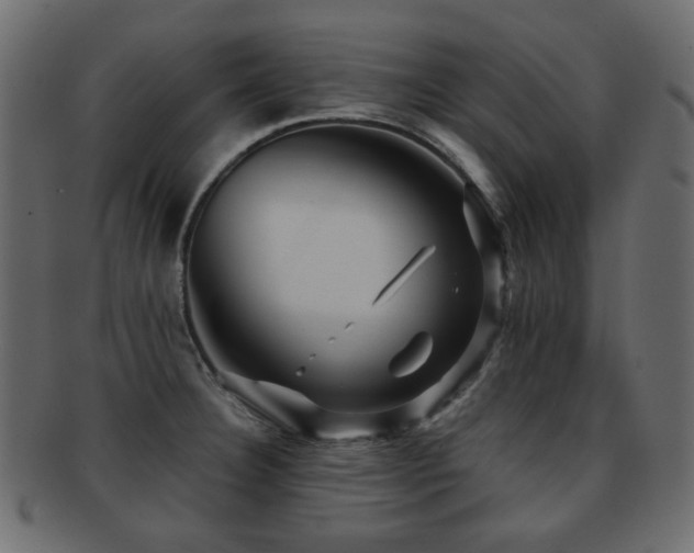 X0000092311332200709141345