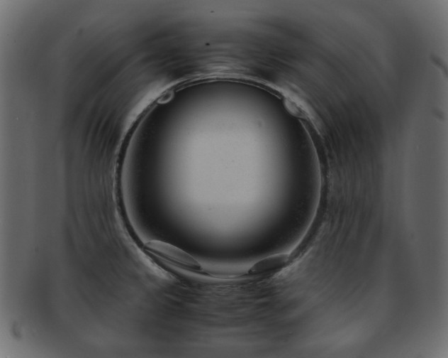 X0000092311333200709141345
