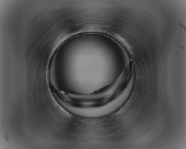 X0000092311334200709141345