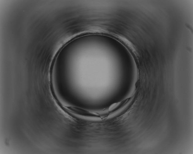 X0000092311335200709141345