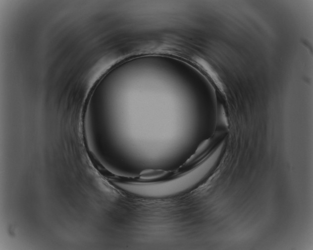 X0000092311336200709141345