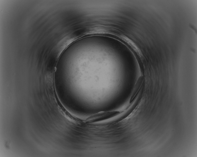 X0000092311337200709141345