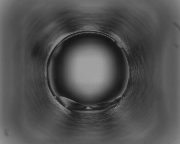 X0000092311339200709141345
