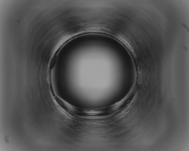 X0000092311342200709141345