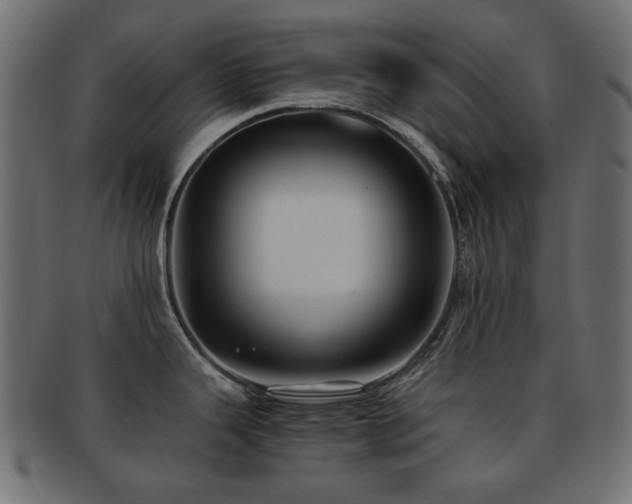 X0000092311343200709141345