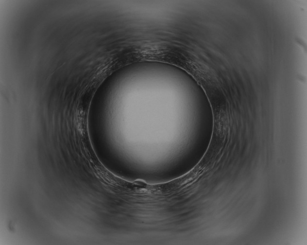 X0000092311346200709141345