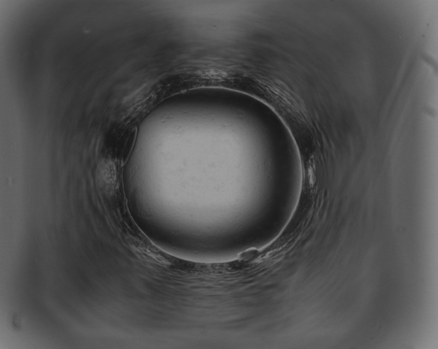 X0000092311347200709141345