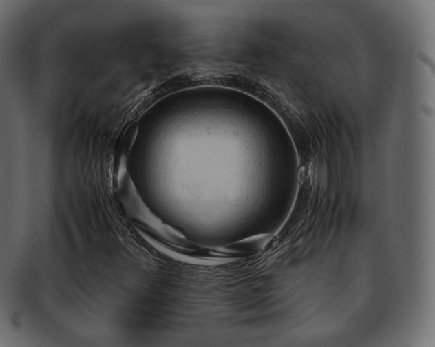 X0000092311348200709141345