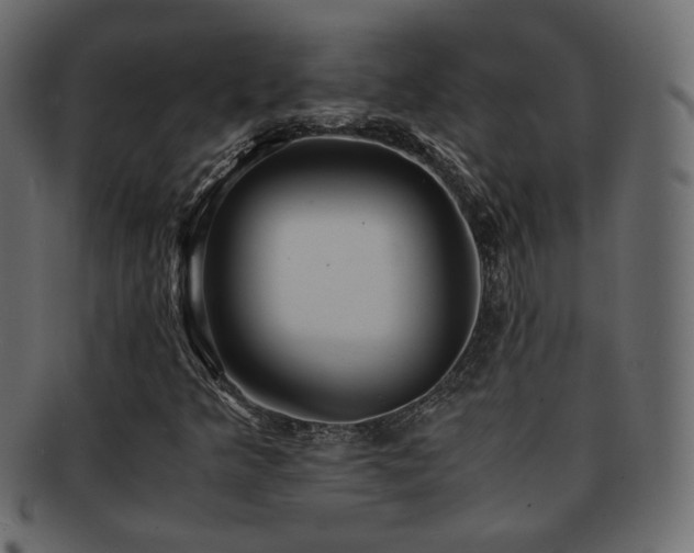 X0000092311349200709141345