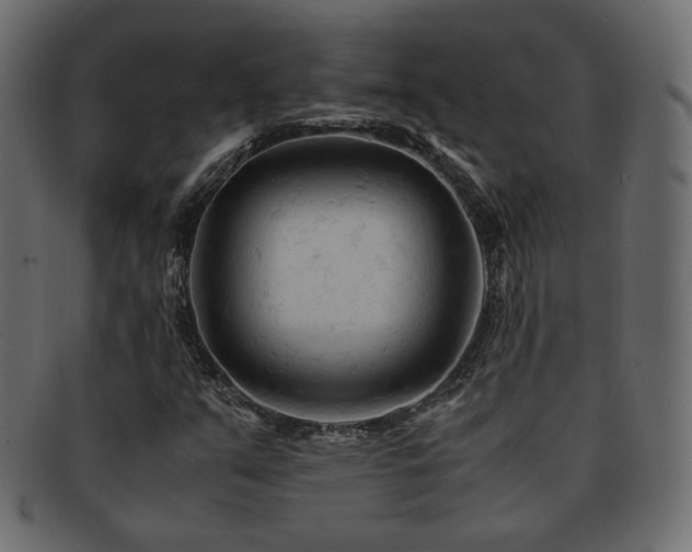X0000092311351200709141345