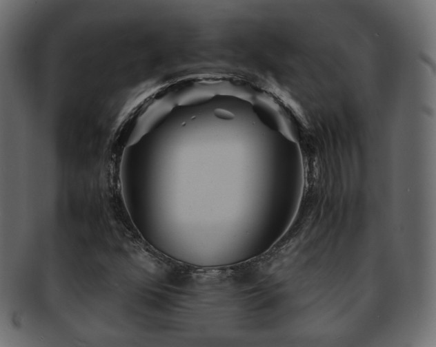 X0000092311352200709141345