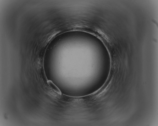 X0000092311353200709141345