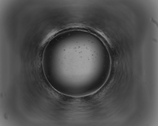 X0000092311359200709141345