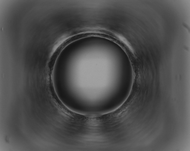 X0000092311360200709141345