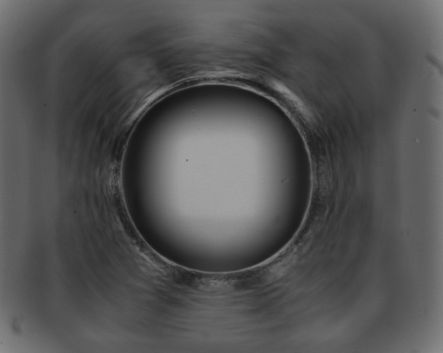 X0000092311361200709141344