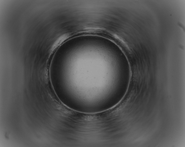 X0000092311362200709141344