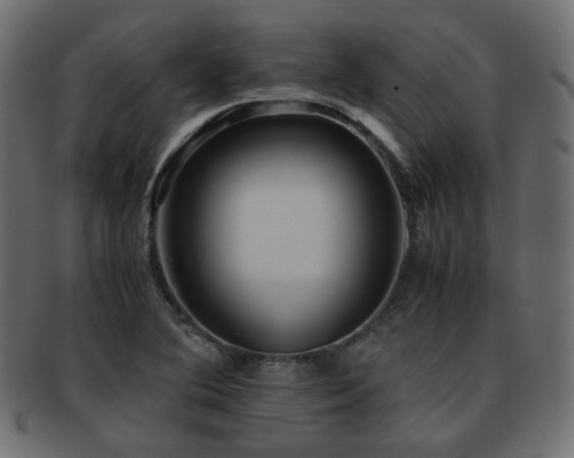 X0000092311364200709141344