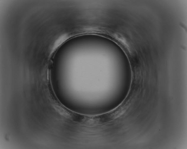 X0000092311365200709141344
