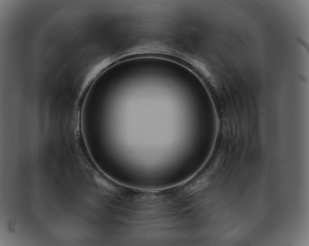X0000092311366200709141344