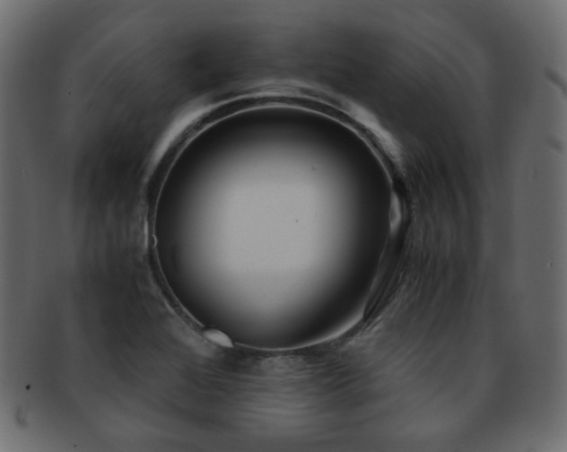 X0000092311368200709141344