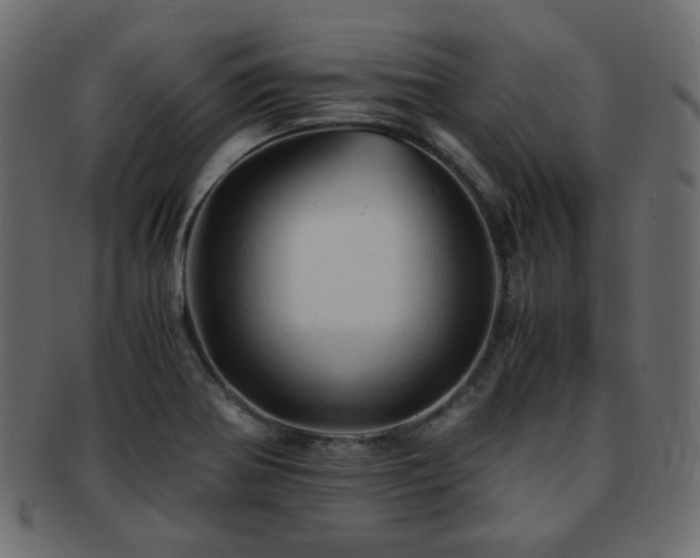 X0000092311370200709141344