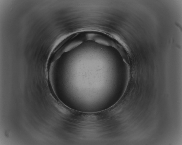X0000092311372200709141344