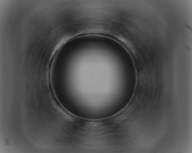 X0000092311374200709141344