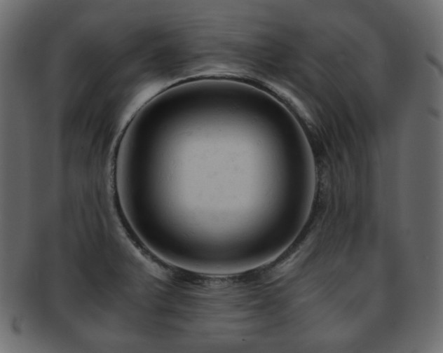 X0000092311375200709141344
